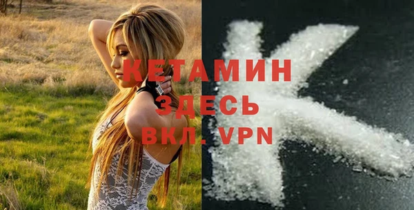 гидра Няндома