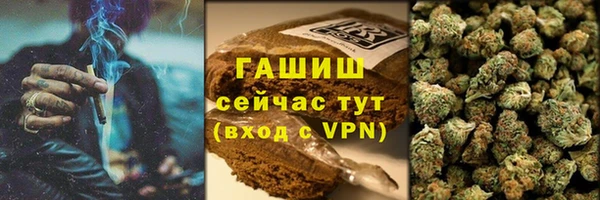 прущий лед Новозыбков