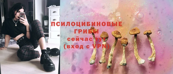 спиды Абинск