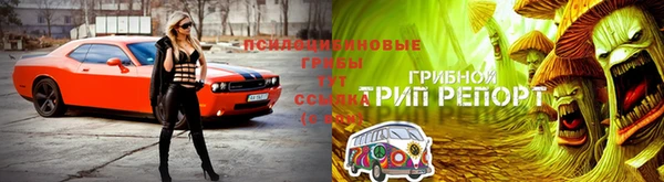 ALPHA PVP Алексин
