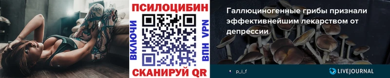 Галлюциногенные грибы Psilocybe  дарк нет Telegram  Симферополь 